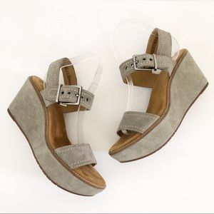 clarks aisley orchid